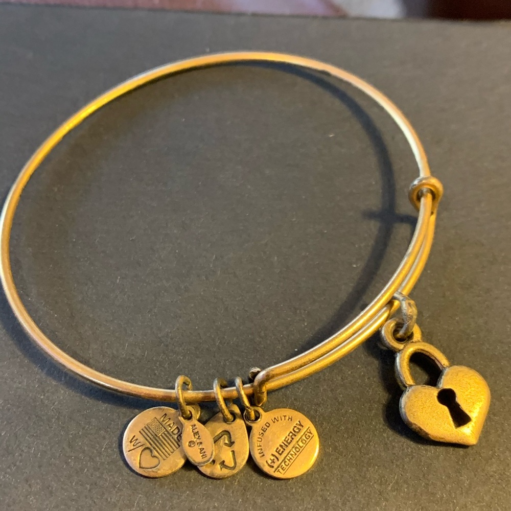 Alex and Ani Gold Locket Bracelet